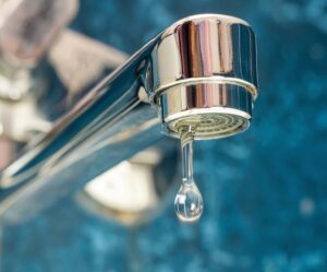 Risk Management: Developing An Enduring Capability